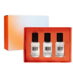 119 Conceal & Prime Brush