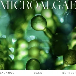 Active Algae Calming Cleansing Balm 100G