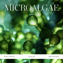 Active Algae Lightweight Moisturizer