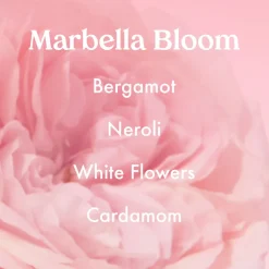 ANGLED BLUSH BRUSH