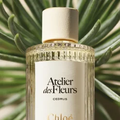 Atelier des Fleurs Cedrus Eau de Parfum