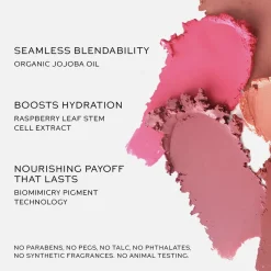 Baby Cheeks Blush Stick