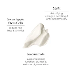 Bedtime Beauty Boost 50ML