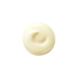 Benefiance Wrinkle Smoothing Day Cream SPF 25 50ML