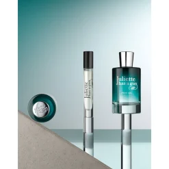 Blurring Powder Brush