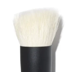 Brush 101 - Powder