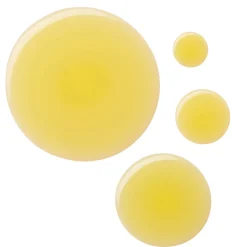 Cellular Energizing Mist 100ML
