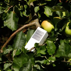Daily Apple Toner 100ML