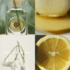 Divine Moon Eau de Parfum 90ML