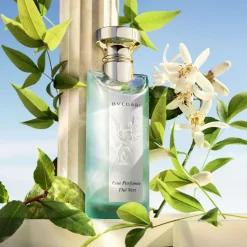 Eau Parfumée Thé Vert Eau de Toilette