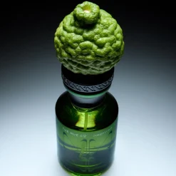 Forest Lungs 50ML