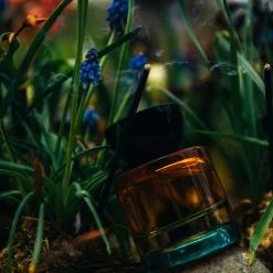 Free 00 Eau De Parfum 50ML