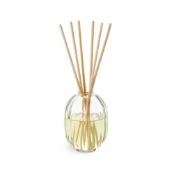 Grapefruit, Mandarin & Eucalyptus Scented Candle