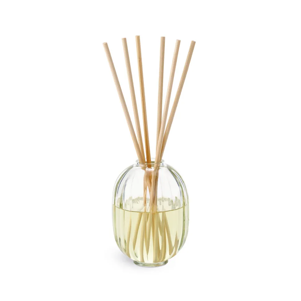 Grapefruit, Mandarin & Eucalyptus Scented Candle