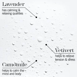 Green Tea Seed Hyaluronic Cream 50ML
