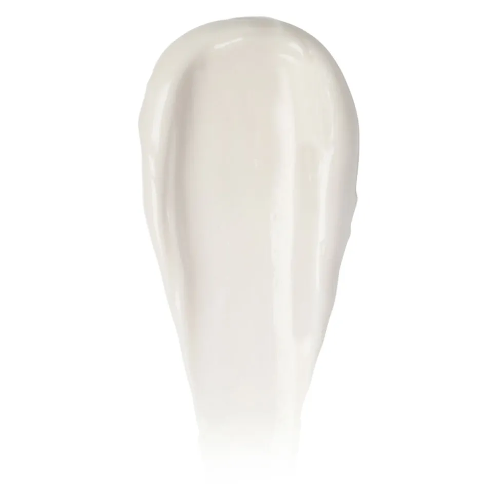 Hollywood Complexion Brush