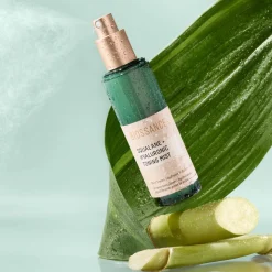 Hyaluronic Toning Mist 75ML