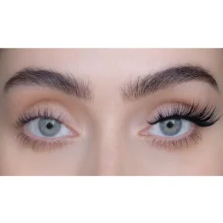 North 3D Lash