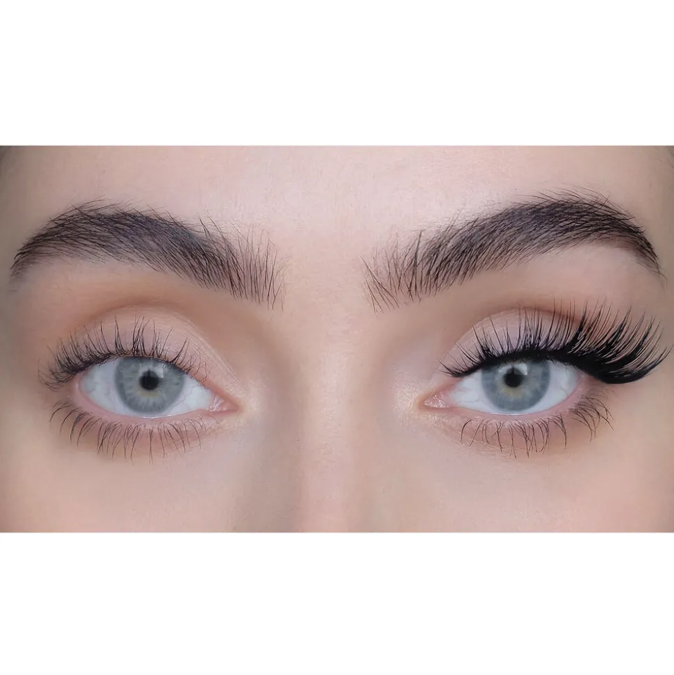 North 3D Lash