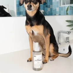 Pet Fragrance 01