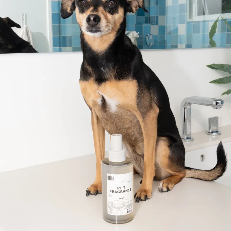 Pet Fragrance 01 "Taunt" 250ML