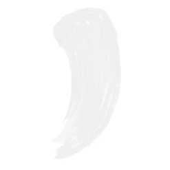 Phyto-Sourcils Fix 5ML