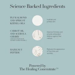 Rejuvenating Night Cream 50ML
