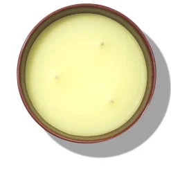 Replica From The Garden Diffuser 185ML