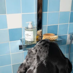 Revive Repairing Shampoo & Conditioner Bundle