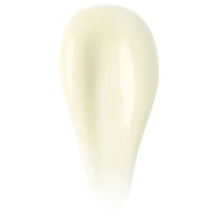 Seeking Silence Facial Hydrator 60ML