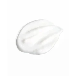 Signature Shampoo 75ML