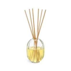 Signor Casanova Candle 330G