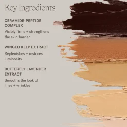 Skin Rewind Complexion Stick