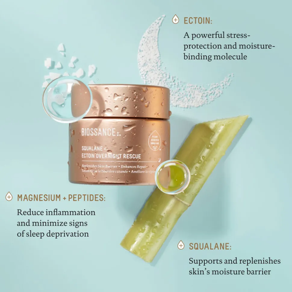 Squalane and Ectoin Overnight Rescue 50ML