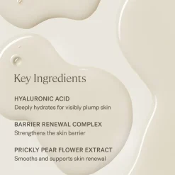 The Base Face Milk
