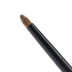 The Blow Dry Brush