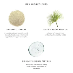 The Body Glow Kit