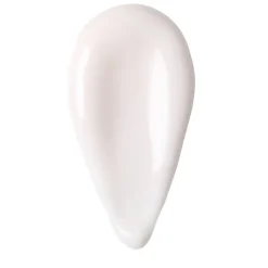 The Liquid Silk Canvas Primer 30G