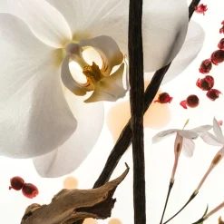 Vanilla Skin Eau De Parfum