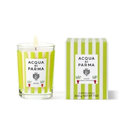 Vetyver Scented Candle 190G