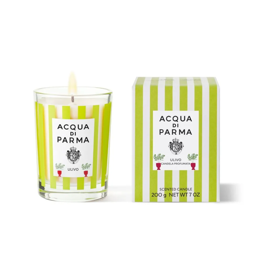 Vetyver Scented Candle 190G