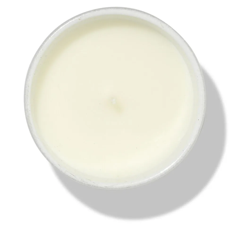 Wild Brooklyn Lavender 7OZ